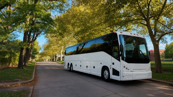 mckinney bachelor and bachelorette party bus rentals
