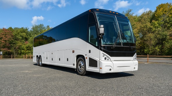 plano bachelor and bachelorette charter bus rental